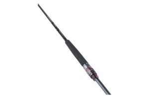 Daiwa Freams Evolution Spinning