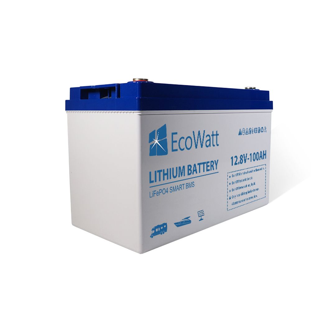 Ecowatt Batteria al litio LiFEPO4 Smart BMS