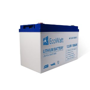 Ecowatt Batteria al litio LiFEPO4 Smart BMS