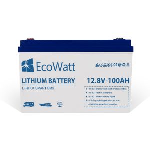 Ecowatt Batteria al litio LiFEPO4 Smart BMS