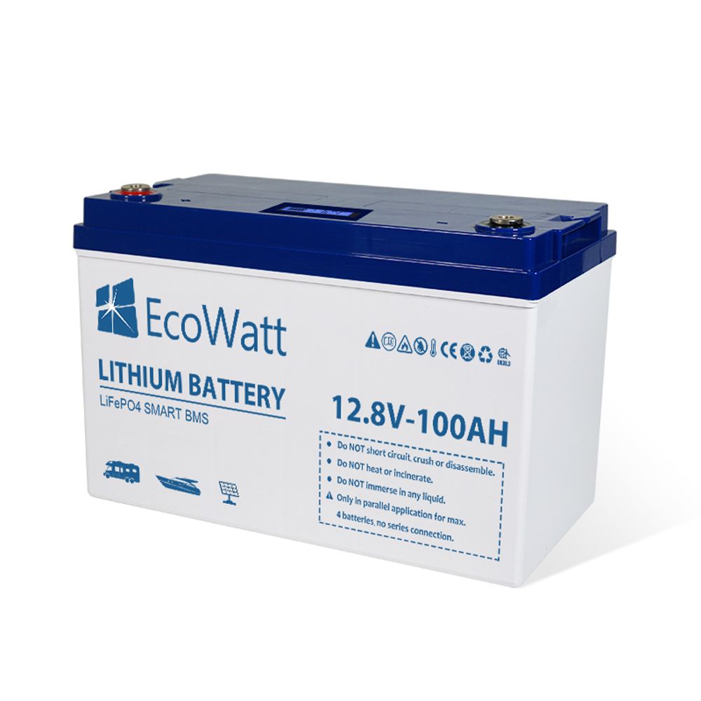 Ecowatt Batteria al litio LiFEPO4 Smart BMS