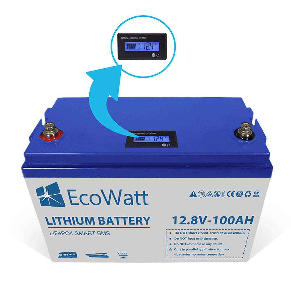 Ecowatt Batteria al litio LiFEPO4 Smart BMS