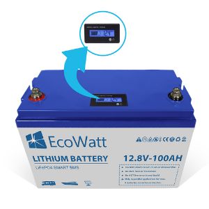 Ecowatt Batteria al litio LiFEPO4 Smart BMS