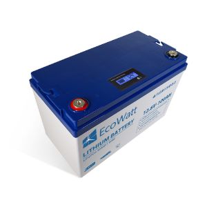 Ecowatt Batteria al litio LiFEPO4 Smart BMS