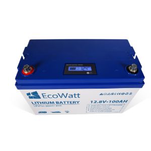 Ecowatt Batteria al litio LiFEPO4 Smart BMS