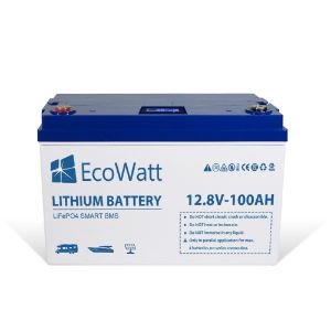 Ecowatt Batteria al litio LiFEPO4 Smart BMS