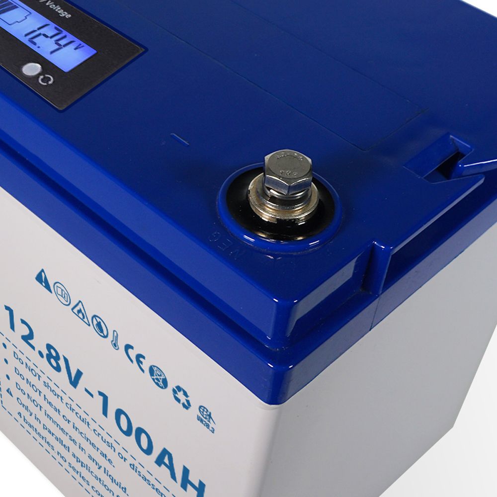 Ecowatt Batteria al litio LiFEPO4 Smart BMS