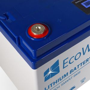 Ecowatt Batteria al litio LiFEPO4 Smart BMS