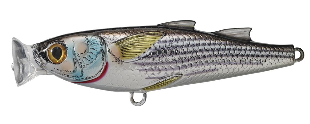 Livetarget Mullet Popper