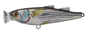 Livetarget Mullet Popper