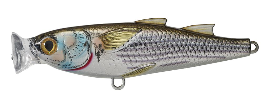Livetarget Mullet Popper