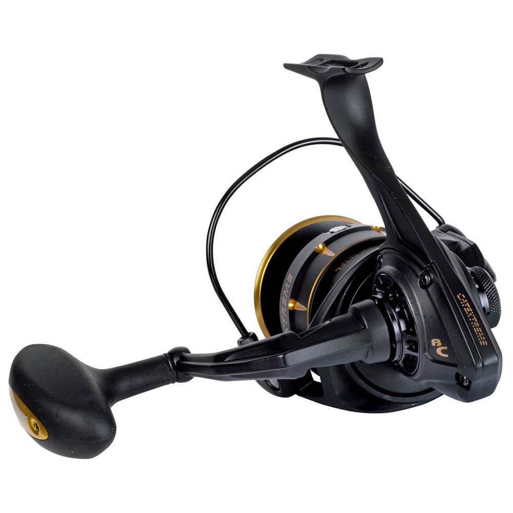 Black Cat CatExtreme spinning