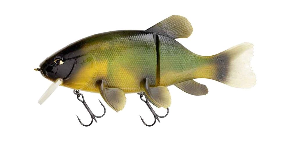 Quantum Freak Of Nature Hybrid Tench