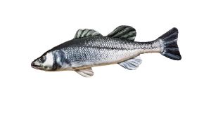 Gaby Fish Cushion