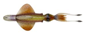 Savage Gear PVC RTF Swim Squid