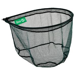 Sensas Testa Guadino Concours