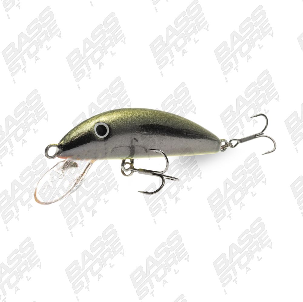 Real Winner Minnow Evolution