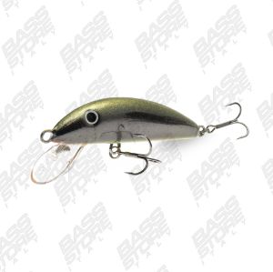 Real Winner Minnow Evolution