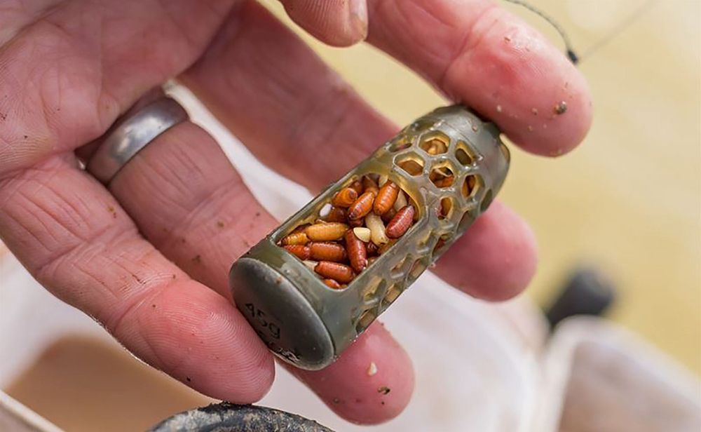 Preston Innovations Absolute Window Feeder - Caged