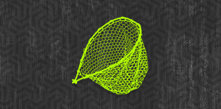 Immagine per la categoria Teste Guadino