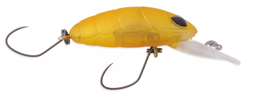 Nories Crankin' Pupa