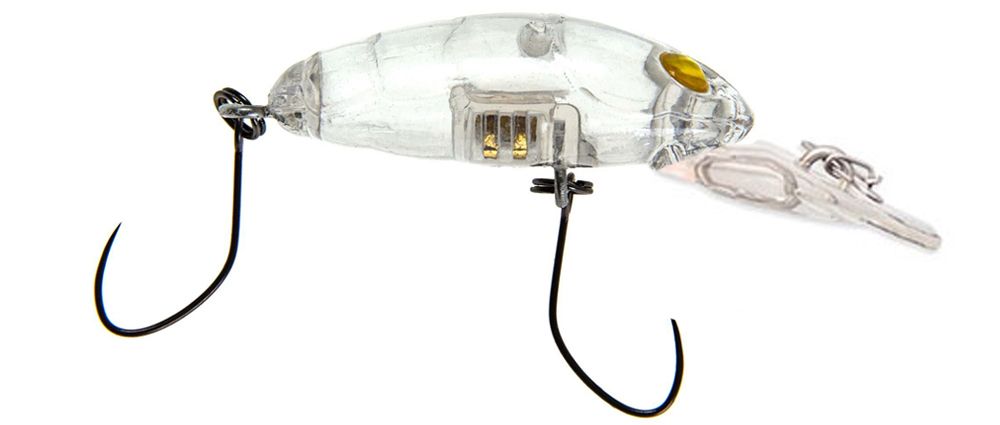 Nories Crankin' Pupa