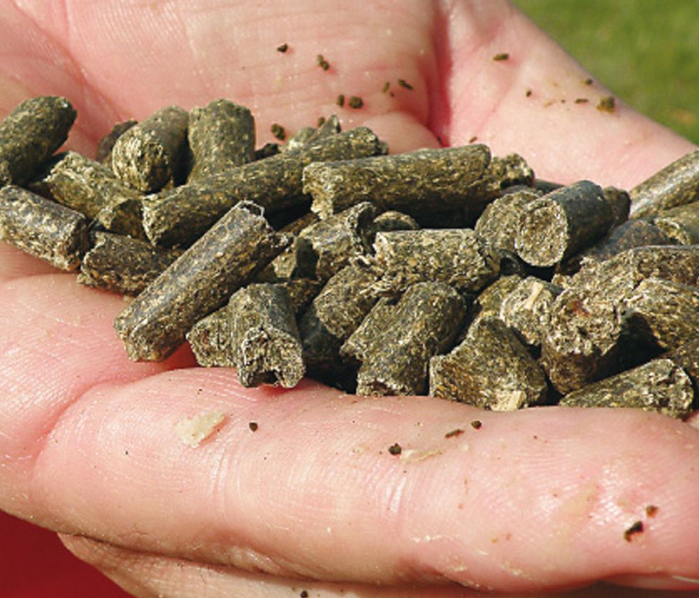 Carp Zoom Amur Pellets