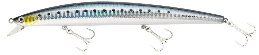 Daiwa Tournament Shiner SL L-Maiwashi Daiwa