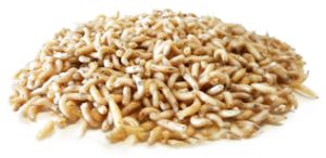 Bassstoreitaly Bigattini