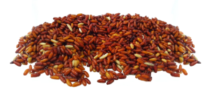 Bassstoreitaly Caster