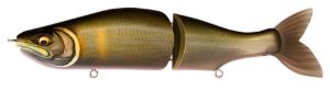 Megabass I-Slide187 R Intermediate Fa Tenryu Ayu Megabass