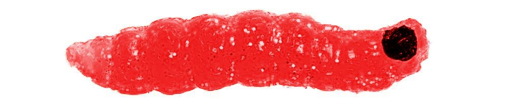 Carson Tamura Camola