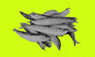 Picture for category Long life baits