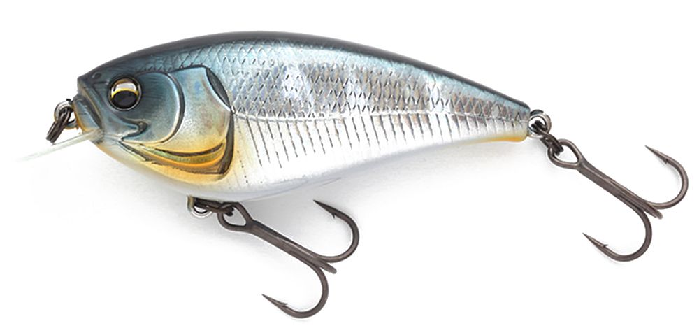 Imakatsu Flat Gekiasa