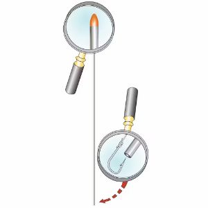 Stonfo Aghi Testa Rossa