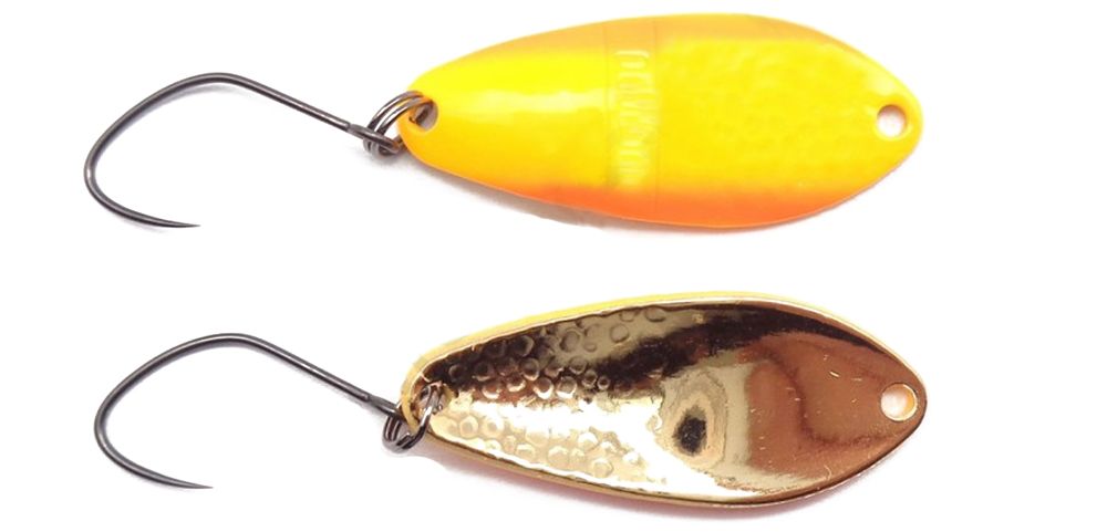 Antem Dohna Limited 2023