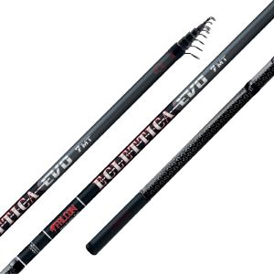 Falcon Eclettica EVO