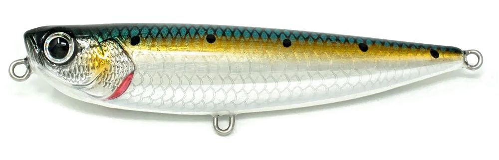 Jack Fin Salty Dog 100 