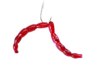 Berkley Powerbait Maxi Blood Worm