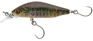 Sakura Phoxy Minnow MR