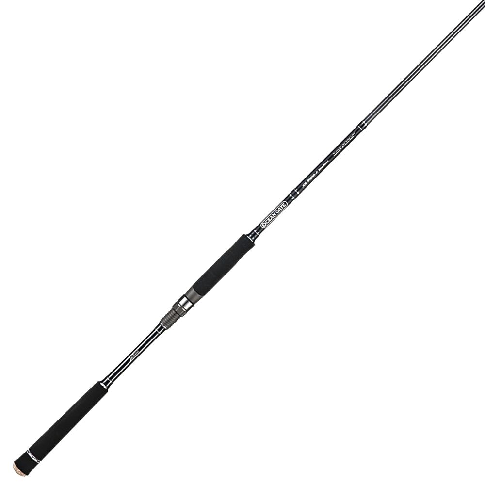 Jackson Ocean Gate Seabass Spinning