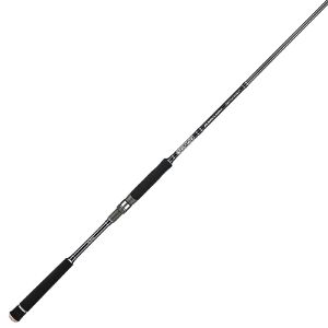 Jackson Ocean Gate Seabass Spinning