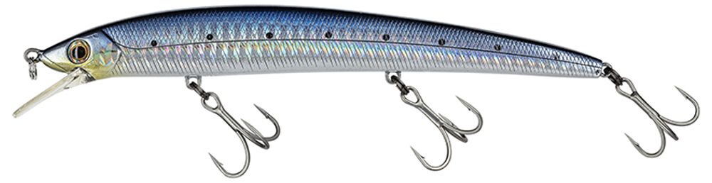 Molix Finder Jerk 150