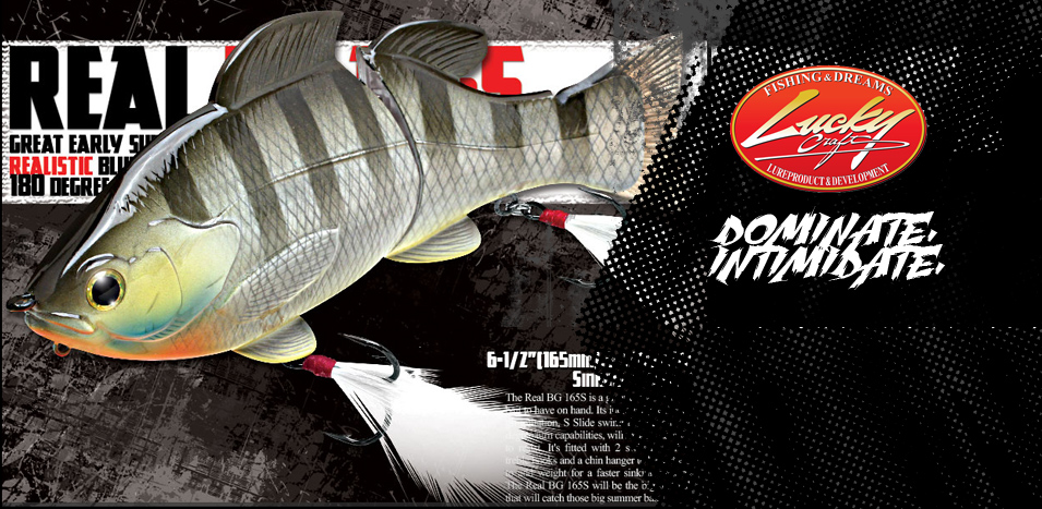 Immagine del prodotto Lucky Craft Real Blue Gill 165S