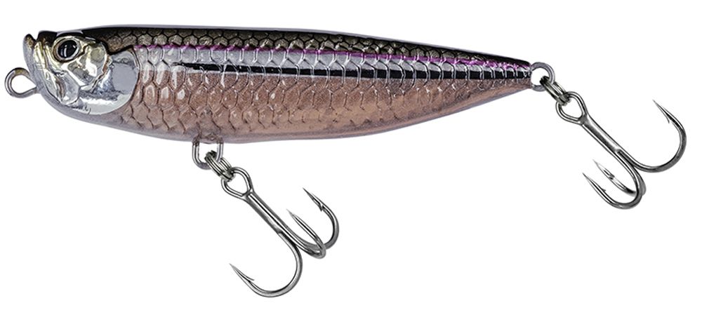 Molix Wtd 65T Walking the Dog Tarpon