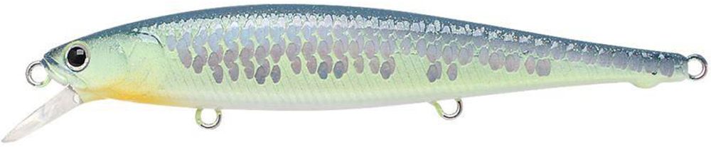 Lucky Craft Flash Pointer