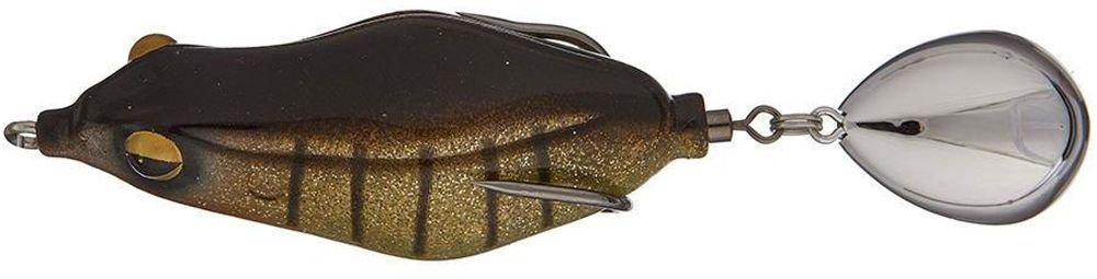 Teckel Maracker frog