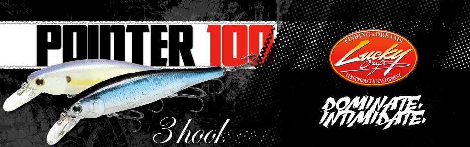 Immagine del prodotto Lucky Craft Pointer 100 H3 