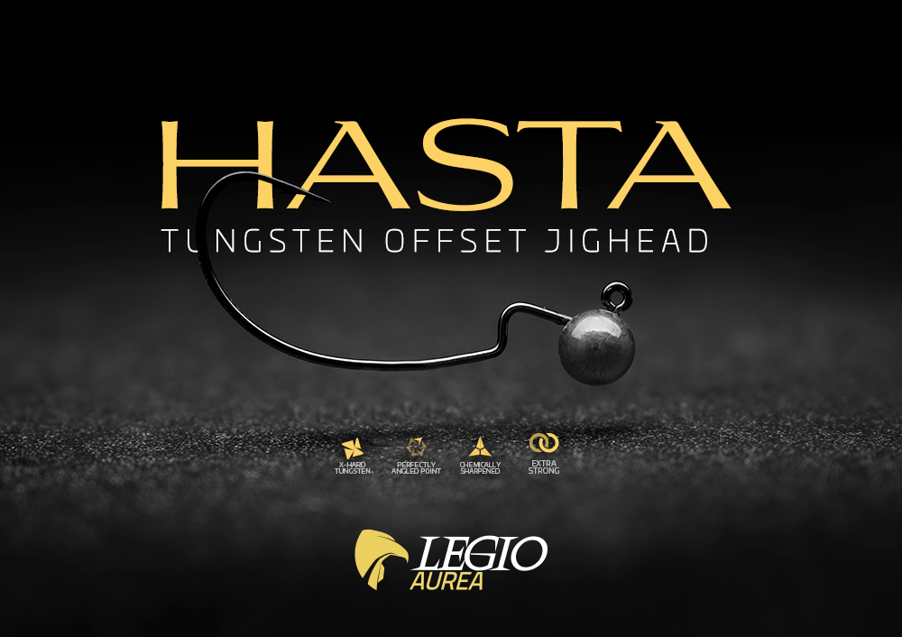 Immagine del prodotto Legio Aurea Hasta