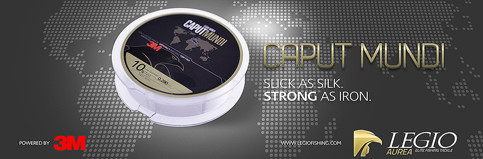 Immagine del prodotto Legio Aurea Caput Mundi Fluorocarbon